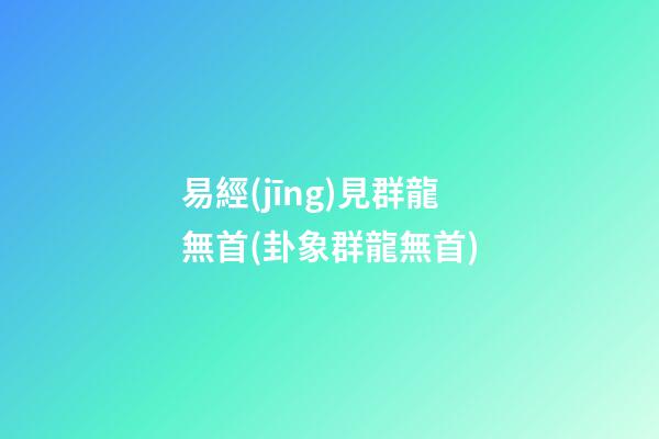 易經(jīng)見群龍無首(卦象群龍無首)