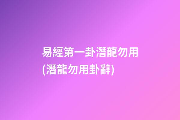 易經第一卦潛龍勿用(潛龍勿用卦辭)