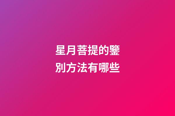 星月菩提的鑒別方法有哪些