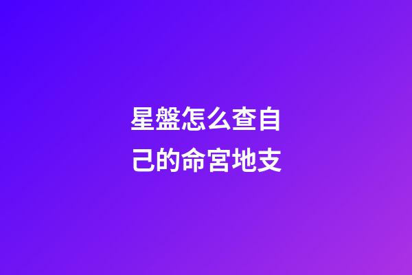 星盤怎么查自己的命宮地支-第1張-星座運勢-玄機派