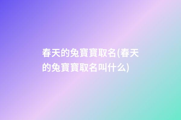春天的兔寶寶取名(春天的兔寶寶取名叫什么)