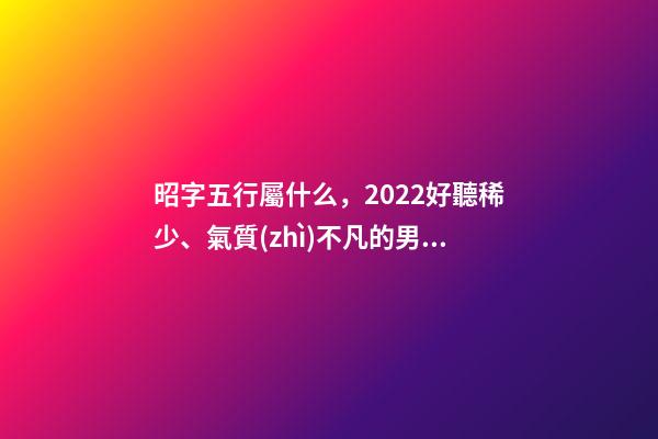 昭字五行屬什么，2022好聽稀少、氣質(zhì)不凡的男孩兒名字薈萃-第1張-觀點(diǎn)-玄機(jī)派
