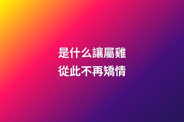 是什么讓屬雞從此不再矯情