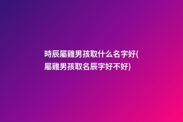 時辰屬雞男孩取什么名字好(屬雞男孩取名辰字好不好)