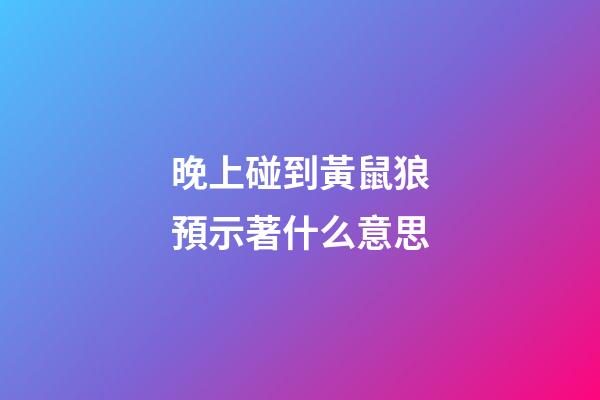 晚上碰到黃鼠狼預示著什么意思