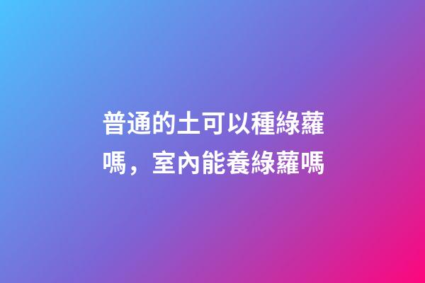 普通的土可以種綠蘿嗎，室內能養綠蘿嗎-第1張-觀點-玄機派