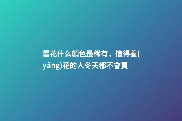 曇花什么顏色最稀有，懂得養(yǎng)花的人冬天都不會買-第1張-觀點-玄機派