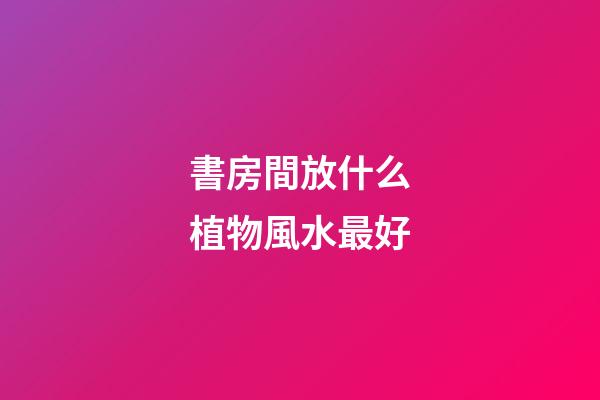 書房間放什么植物風水最好