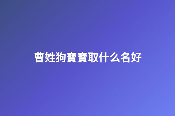 曹姓狗寶寶取什么名好(姓曹的小孩起什么名字好)-第1張-寶寶起名-玄機派