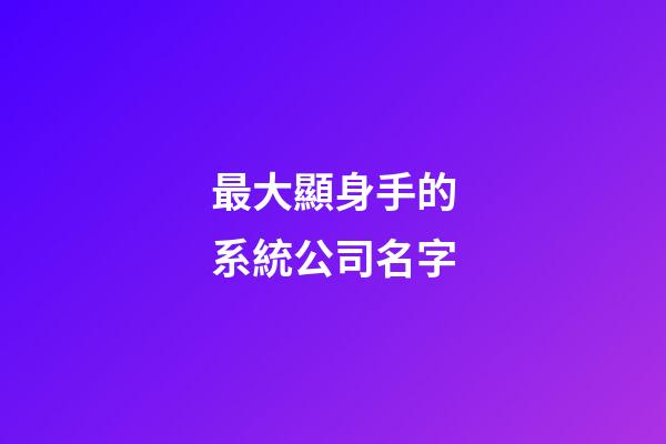 最大顯身手的系統公司名字-第1張-公司起名-玄機派