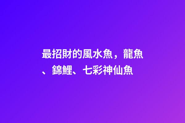 最招財的風水魚，龍魚、錦鯉、七彩神仙魚