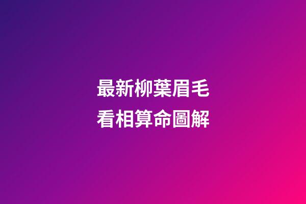 最新柳葉眉毛看相算命圖解
