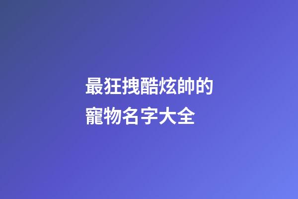 最狂拽酷炫帥的寵物名字大全