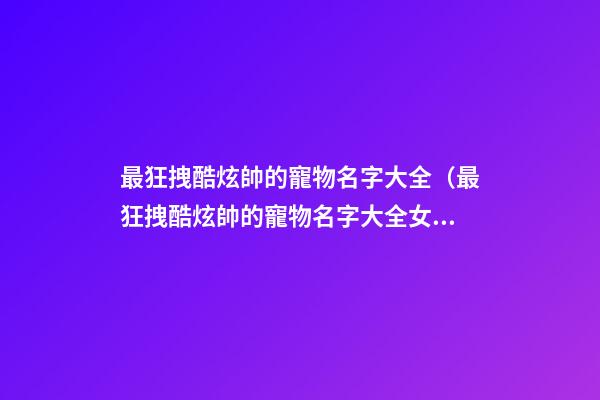 最狂拽酷炫帥的寵物名字大全（最狂拽酷炫帥的寵物名字大全女）
