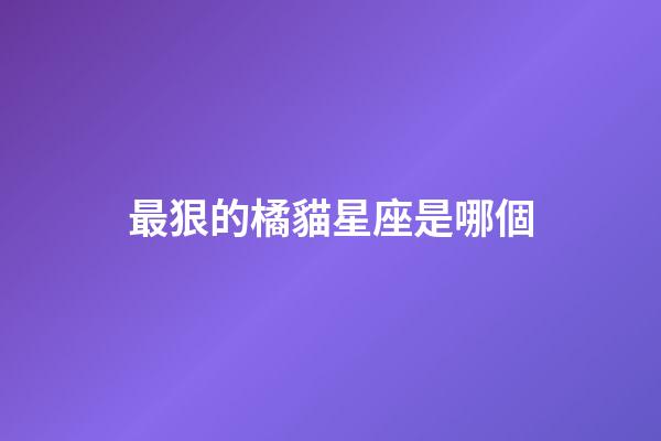 最狠的橘貓星座是哪個-第1張-星座運勢-玄機派