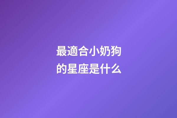 最適合小奶狗的星座是什么-第1張-星座運勢-玄機派
