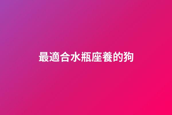 最適合水瓶座養的狗-第1張-星座運勢-玄機派