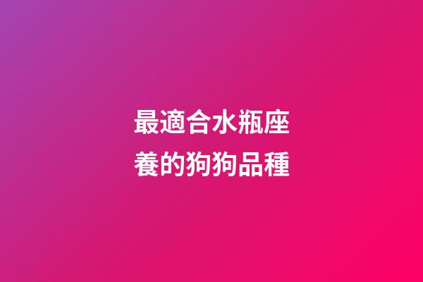 最適合水瓶座養的狗狗品種-第1張-星座運勢-玄機派