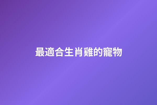 最適合生肖雞的寵物