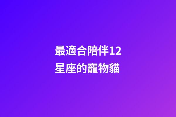 最適合陪伴12星座的寵物貓-第1張-星座運勢-玄機派