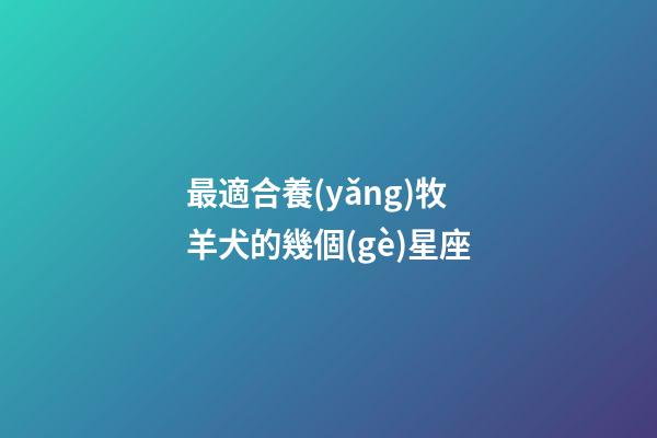 最適合養(yǎng)牧羊犬的幾個(gè)星座-第1張-星座運(yùn)勢-玄機(jī)派