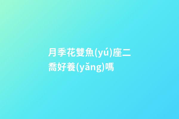 月季花雙魚(yú)座二喬好養(yǎng)嗎-第1張-星座運(yùn)勢(shì)-玄機(jī)派