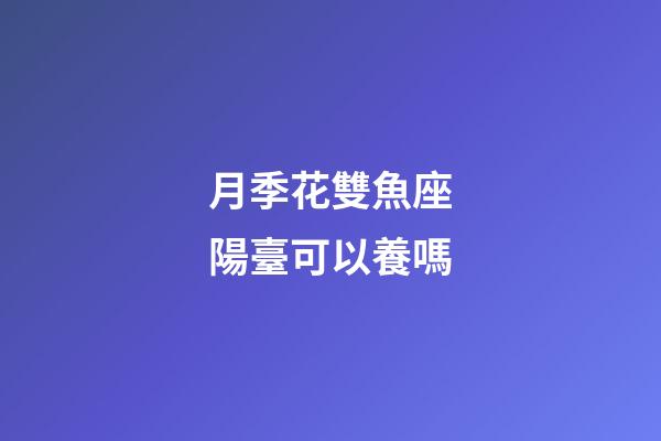 月季花雙魚座陽臺可以養嗎-第1張-星座運勢-玄機派