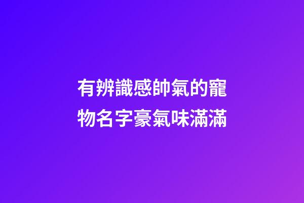 有辨識感帥氣的寵物名字豪氣味滿滿