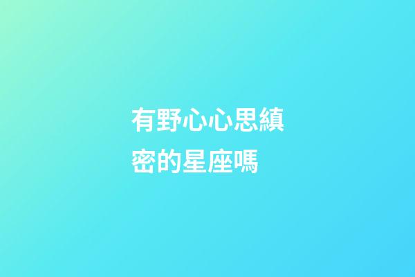 有野心心思縝密的星座嗎-第1張-星座運勢-玄機派
