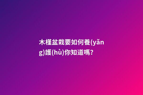 木槿盆栽要如何養(yǎng)護(hù)你知道嗎？