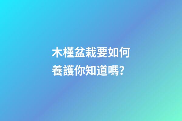 木槿盆栽要如何養護你知道嗎？