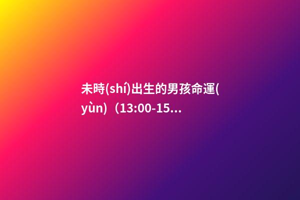 未時(shí)出生的男孩命運(yùn)（13:00-15:00）