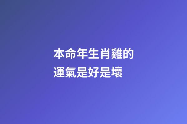 本命年生肖雞的運氣是好是壞