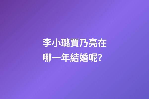 李小璐賈乃亮在哪一年結婚呢？