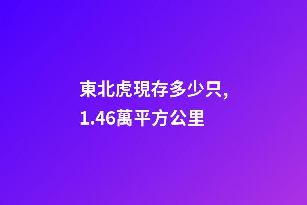 東北虎現存多少只,1.46萬平方公里-第1張-觀點-玄機派