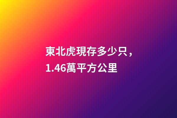 東北虎現存多少只，1.46萬平方公里-第1張-觀點-玄機派