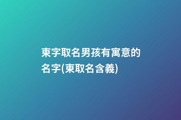 東字取名男孩有寓意的名字(東取名含義)