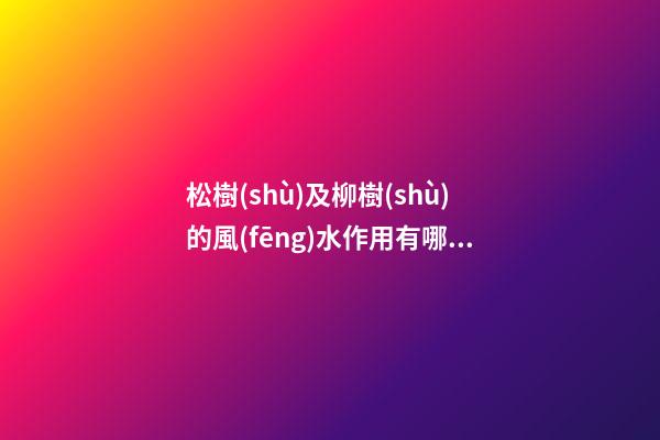 松樹(shù)及柳樹(shù)的風(fēng)水作用有哪些?