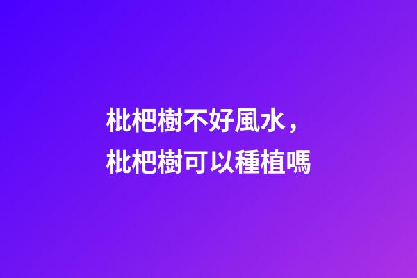 枇杷樹不好風水，枇杷樹可以種植嗎