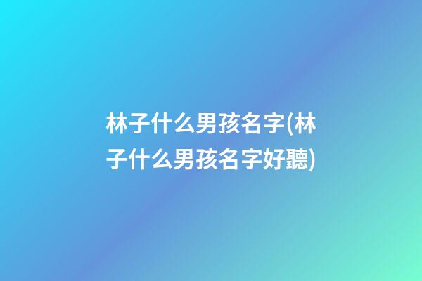 林子什么男孩名字(林子什么男孩名字好聽)