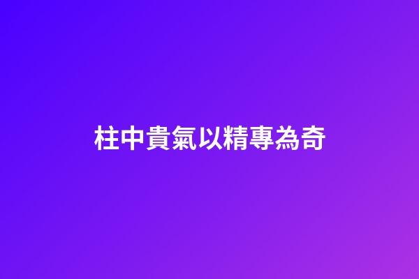柱中貴氣以精專為奇