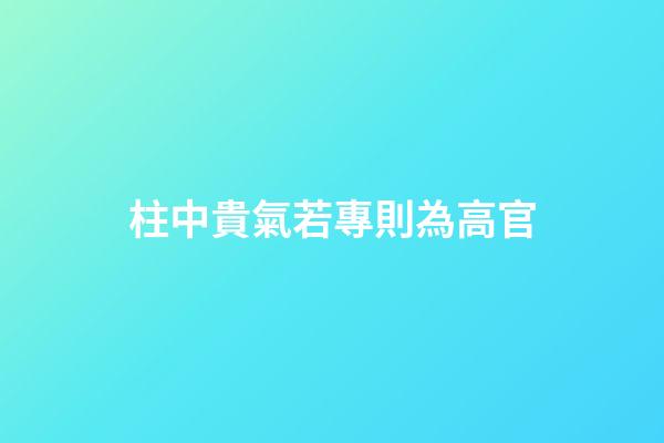 柱中貴氣若專則為高官