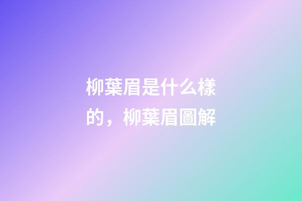 柳葉眉是什么樣的，柳葉眉圖解