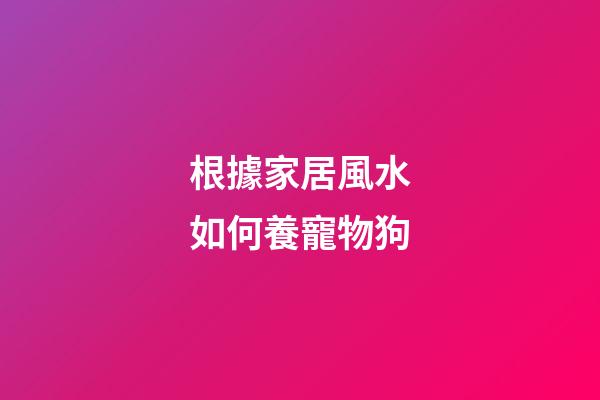 根據家居風水如何養寵物狗