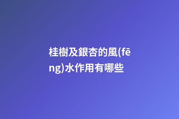 桂樹及銀杏的風(fēng)水作用有哪些?