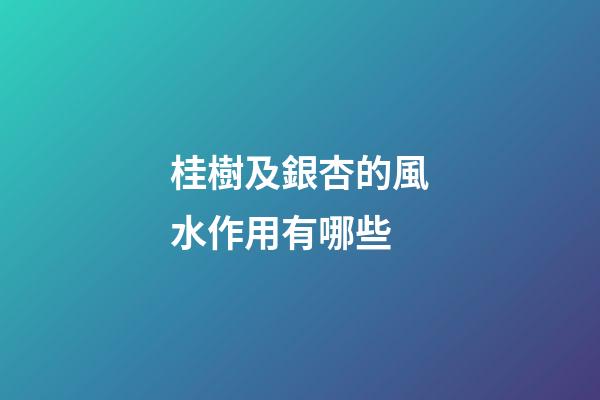桂樹及銀杏的風水作用有哪些?