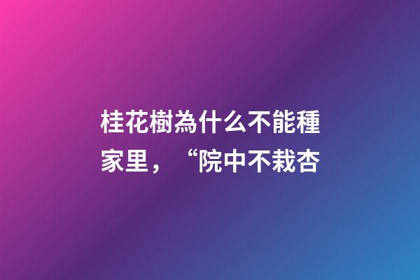 桂花樹為什么不能種家里，“院中不栽杏-第1張-觀點-玄機派