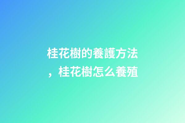 桂花樹的養護方法，桂花樹怎么養殖-第1張-觀點-玄機派