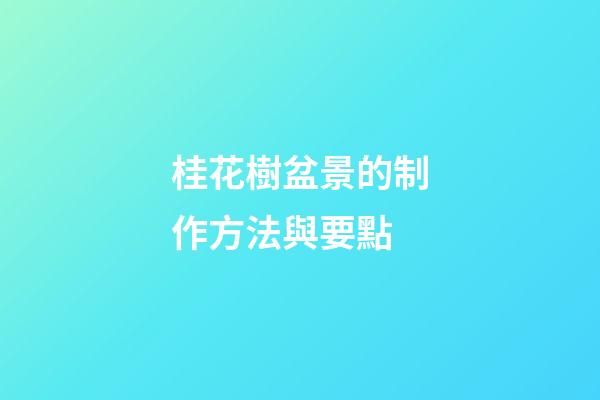 桂花樹盆景的制作方法與要點