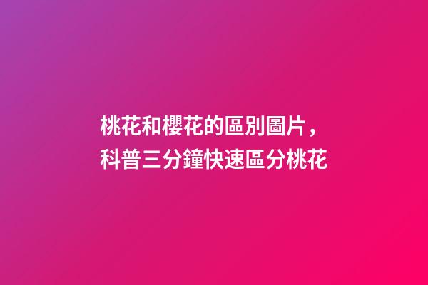 桃花和櫻花的區別圖片，科普三分鐘快速區分桃花-第1張-觀點-玄機派